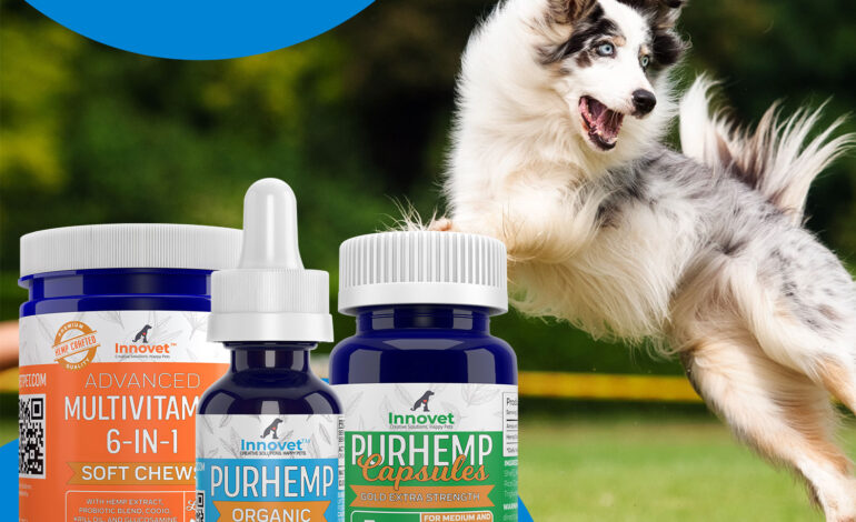  From Pain Relief to Anxiety Management: Innovet Pet Has It All