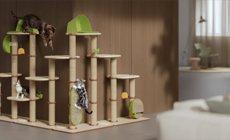  PETLIBRO: Elevate Your Pet Care Experience