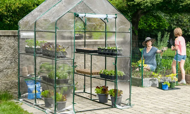  Efficient Gardening Solutions: Mini Greenhouses Available at Buy Sheds Direct