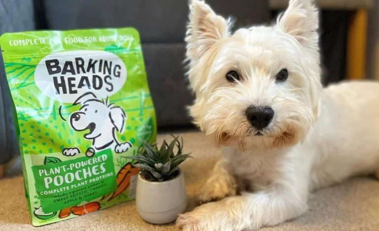 Tail-Wagging Nutrition: Discover Barking Heads’ Premium Dry Dog Food
