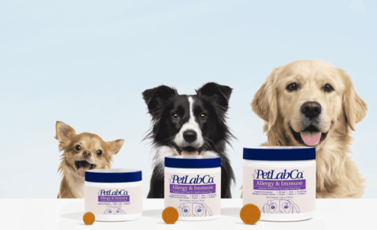  Nurturing Pet Health with Petlabco’s Trusted Products