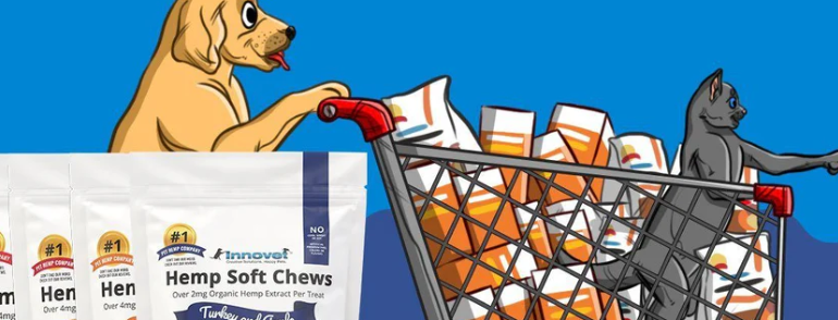  Innovet Pet: Revolutionizing Pet Care with Innovative Solutions