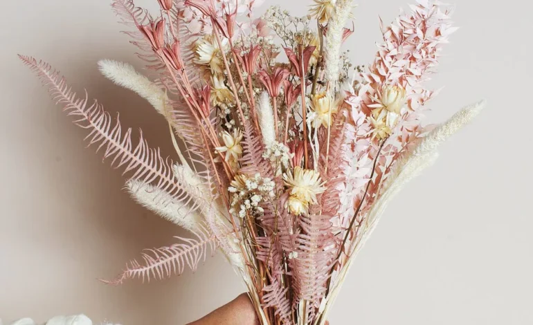  Charming Blooms: Appleyard’s Unique Dried Flower Selections