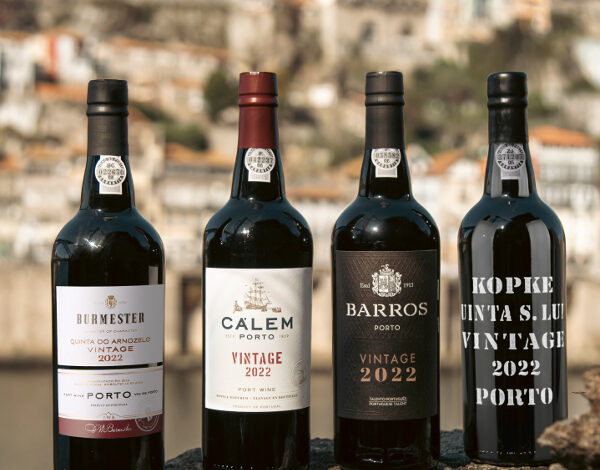  Vintage Wine & Port: Timeless Classics for the Perfect Experience