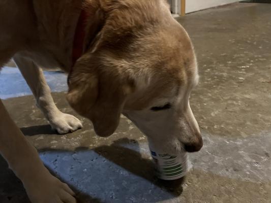  YuMOVE: Premium Joint Supplements for Healthier, Happier Dogs