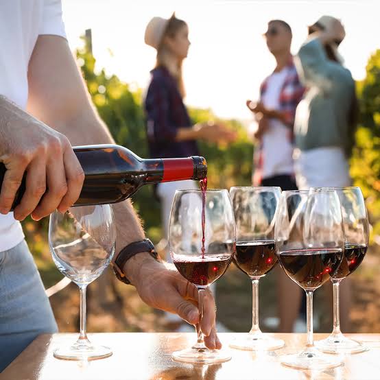 Explore a Variety of Red Wines at Warehouse Wines